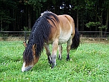 Bild 022